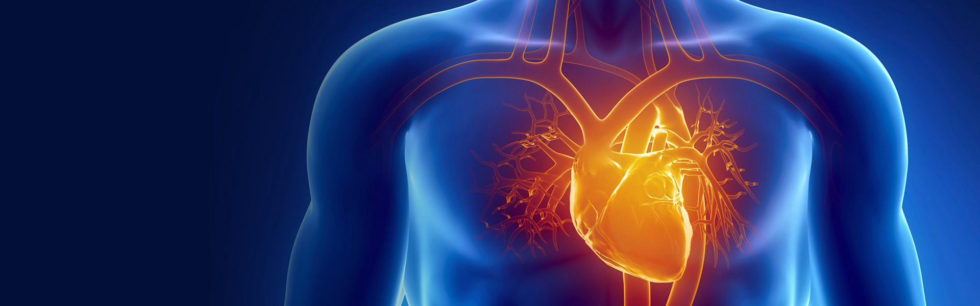 2022 Cardiology and ECG Review 